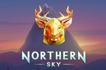 Northern Sky
